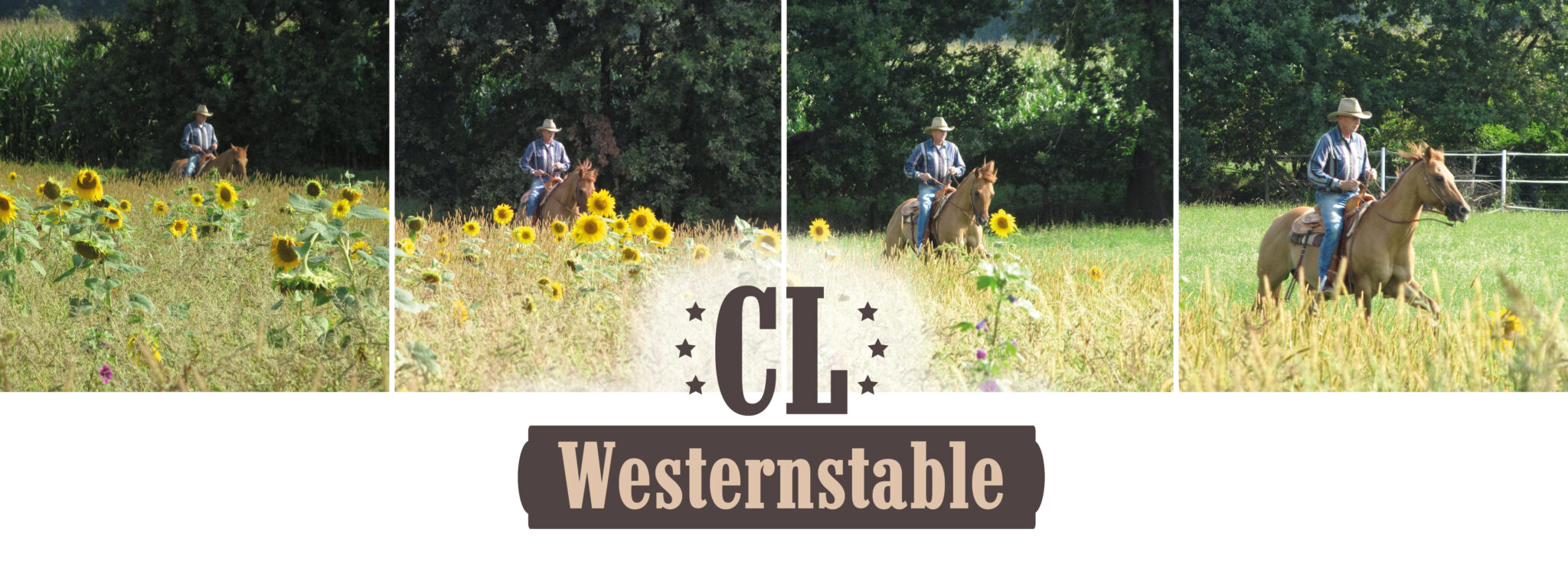 CL Westernsable